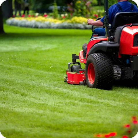 Keep Yourself And Team <span class='mmwm-bg-yellow'>Busy</span>