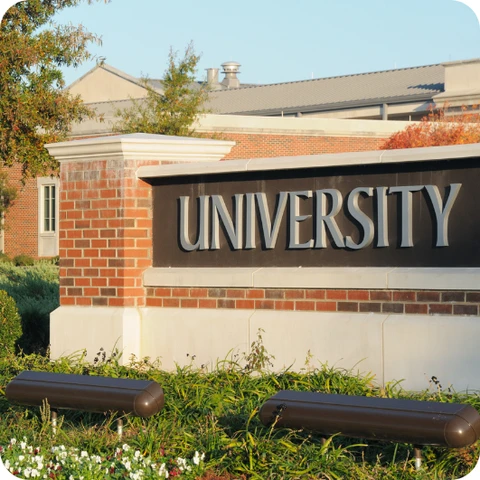 Keep Your Sign Company <span class='mmwm-bg-yellow'>Busy</span>