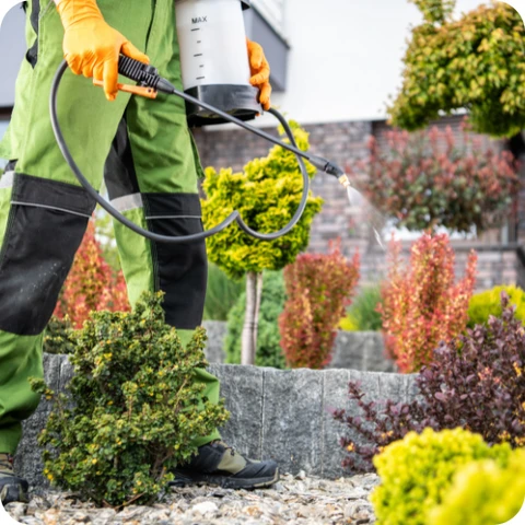 Track Your Results With <span class='mmwm-bg-yellow'>Clarity</span>